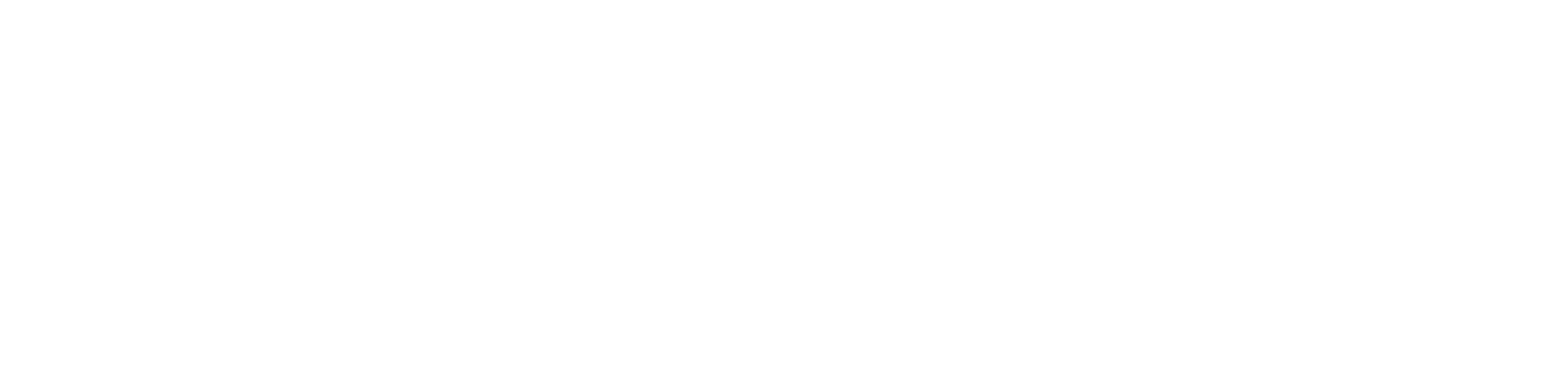 Angel Aligner